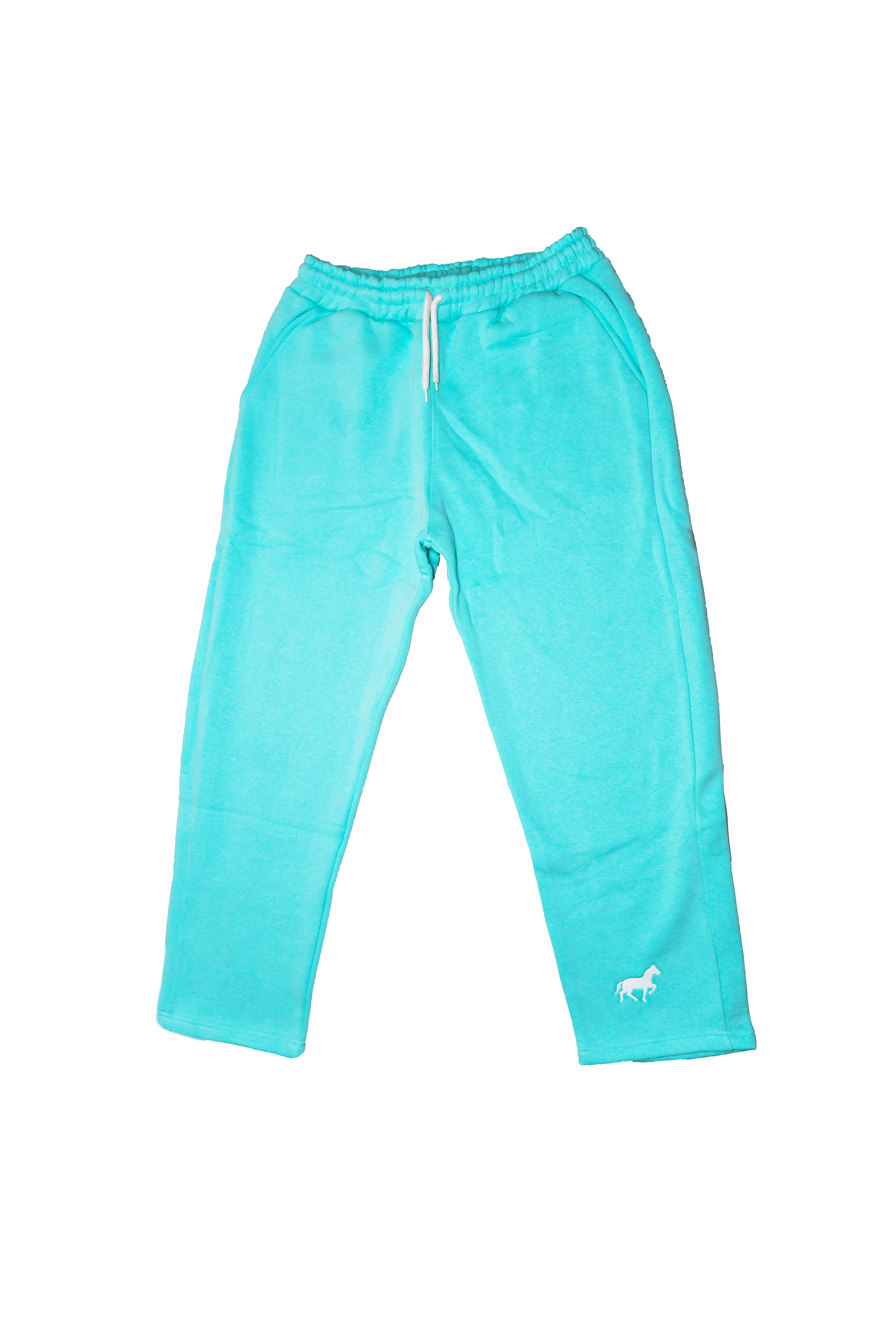 BABYBLUE JOGGER